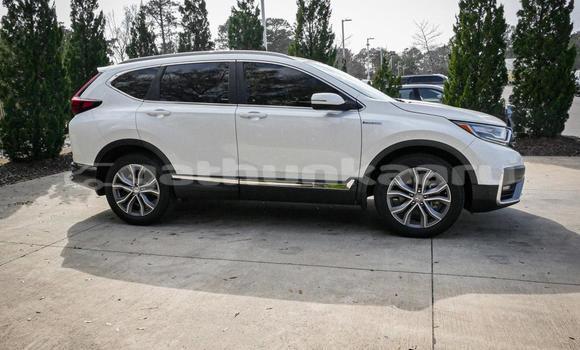 Buy Used Honda CR–V White Car in Dhabidhoo in Laam Buy Used Honda CR–V White Car in Dhabidhoo in Laam