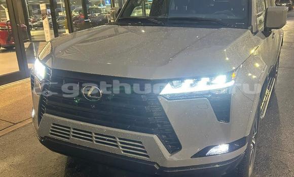 Buy Used Lexus GX White Car in Fuvammulah in Ghaviyani