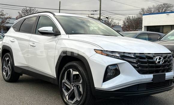 Buy Used Hyundai Tucson White Car in Dharavandhoo in Baa