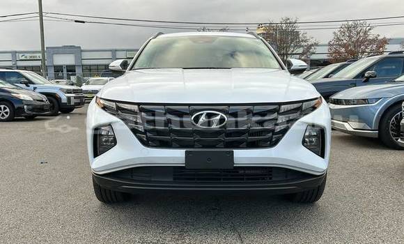 Buy Used Hyundai Tucson White Car in Dharavandhoo in Baa Buy Used Hyundai Tucson White Car in Dharavandhoo in Baa