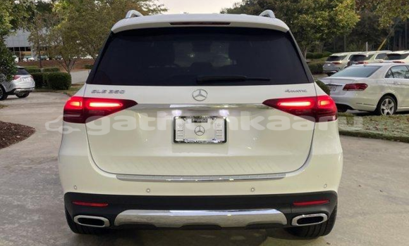 Buy Used Mercedes-Benz GLE White Car in Dhabidhoo in Laam Buy Used Mercedes-Benz GLE White Car in Dhabidhoo in Laam