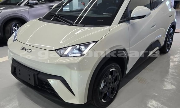 Buy Used BYD S6 White Car in Dhabidhoo in Laam