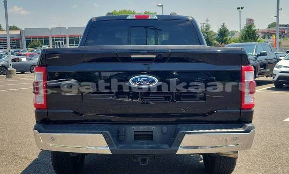 Buy Used Ford F–150 Black Car in Dharaboodhoo in Faaf Buy Used Ford F–150 Black Car in Dharaboodhoo in Faaf