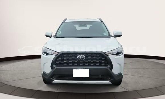 Buy Used Toyota Corolla Cross White Car in Dharavandhoo in Baa