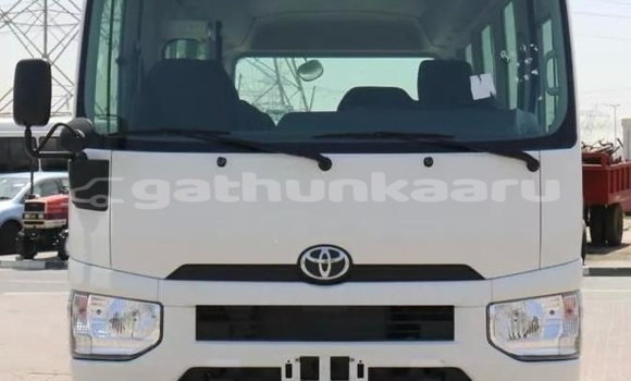 Buy Used Toyota Coaster White Car in Dharavandhoo in Baa