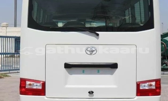 Buy Used Toyota Coaster White Car in Dharavandhoo in Baa Buy Used Toyota Coaster White Car in Dharavandhoo in Baa