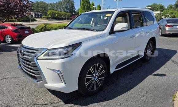 Buy Used Lexus LX 570 White Car in Bilehffahi in Shaviyani