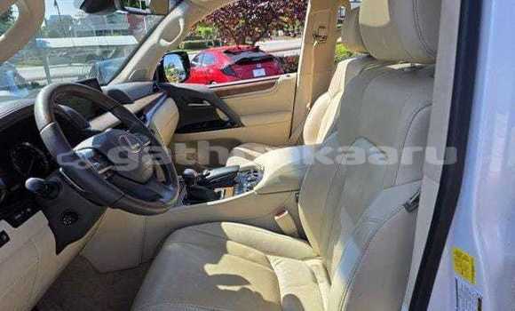 Buy Used Lexus LX 570 White Car in Bilehffahi in Shaviyani Buy Used Lexus LX 570 White Car in Bilehffahi in Shaviyani