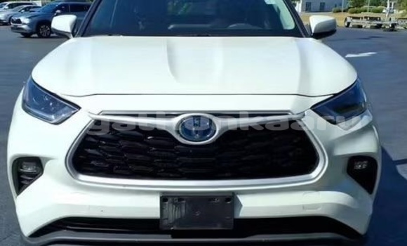 Buy Used Toyota Highlander White Car in Dharavandhoo in Baa
