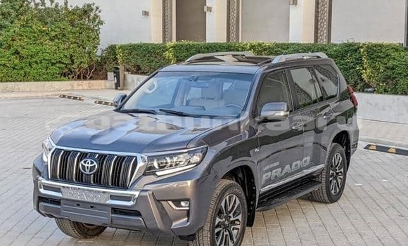 Buy Used Toyota Land Cruiser Prado White Car in Dharavandhoo in Baa Buy Used Toyota Land Cruiser Prado White Car in Dharavandhoo in Baa
