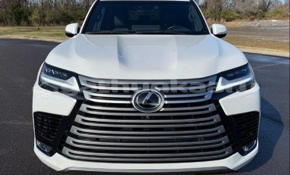 Buy Used Lexus LX White Car in Biledhdhoo in Faaf