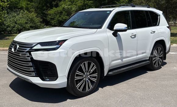 Buy Used Lexus LX White Car in Buruni in Thaa