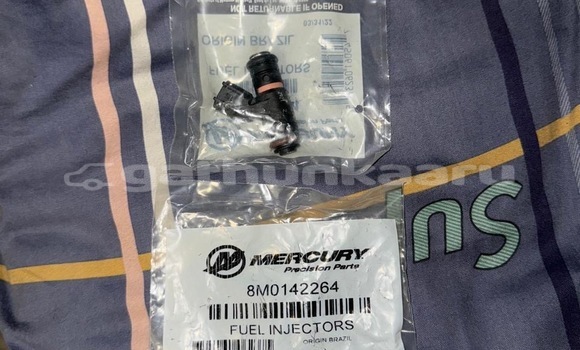 Mercury fuel injector 