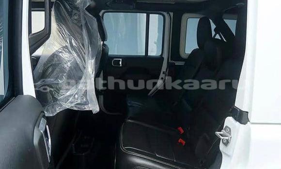 Buy Used Jeep Wrangler White Car in Dharavandhoo in Baa Buy Used Jeep Wrangler White Car in Dharavandhoo in Baa