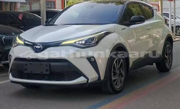 Buy Used Toyota C-HR White Car in Dharavandhoo in Baa