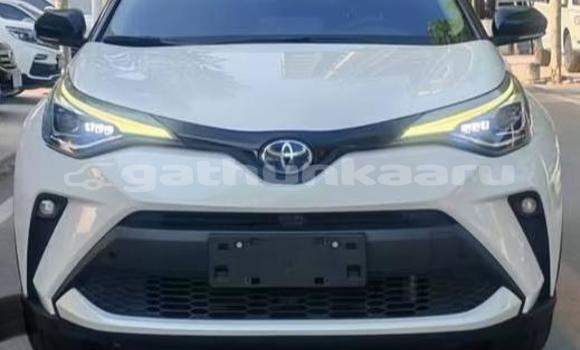 Buy Used Toyota C-HR White Car in Dharavandhoo in Baa Buy Used Toyota C-HR White Car in Dharavandhoo in Baa