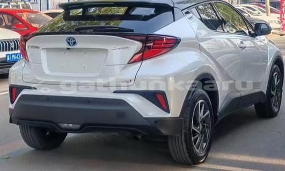 Buy Used Toyota C-HR White Car in Dharavandhoo in Baa Buy Used Toyota C-HR White Car in Dharavandhoo in Baa