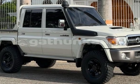 Buy Used Toyota Land Cruiser White Car in Dharavandhoo in Baa