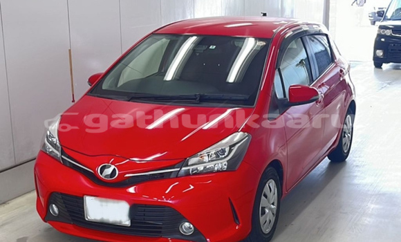 Buy Import Toyota Vitz Red Car in Thulusdhoo in Kaaf