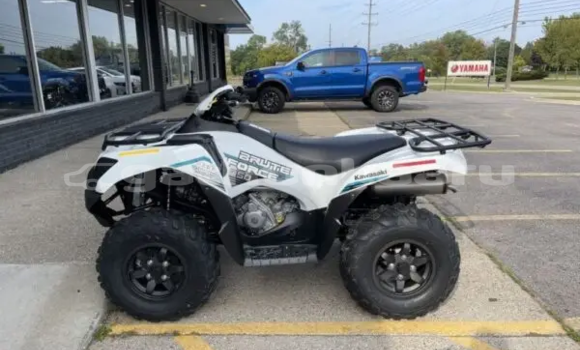 Buy Used Kawasaki Brute Force White Bike in Dhabidhoo in Laam