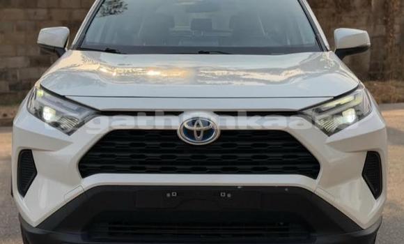 Buy Used Toyota RAV4 White Car in Dharavandhoo in Baa