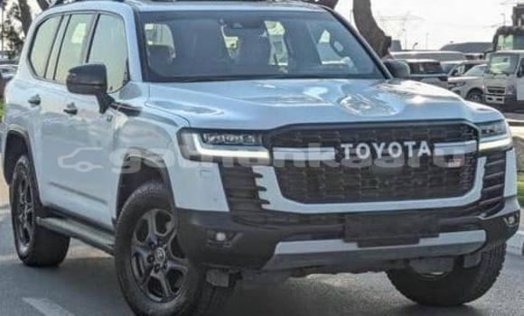 Buy Used Toyota Land Cruiser White Car in Dharavandhoo in Baa