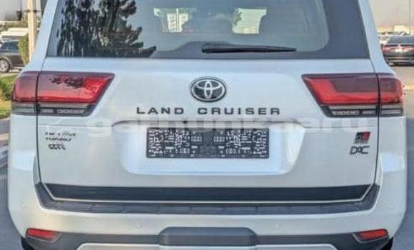 Buy Used Toyota Land Cruiser White Car in Dharavandhoo in Baa Buy Used Toyota Land Cruiser White Car in Dharavandhoo in Baa
