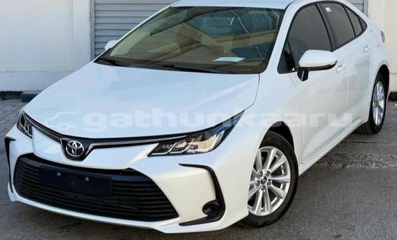 Buy Used Toyota Corolla White Car in Dharavandhoo in Baa