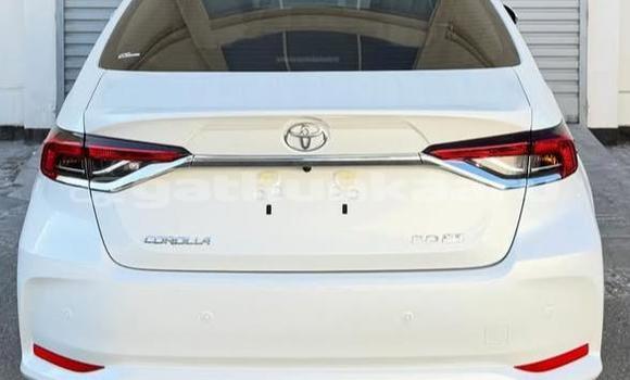 Buy Used Toyota Corolla White Car in Dharavandhoo in Baa Buy Used Toyota Corolla White Car in Dharavandhoo in Baa