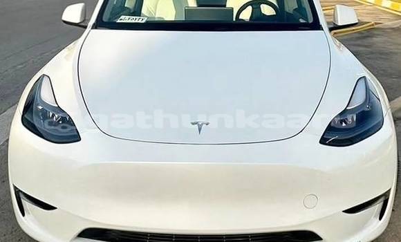 Buy Used Tesla Model X White Car in Dharavandhoo in Baa