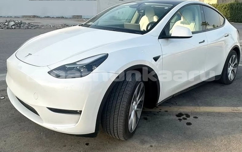 Big with watermark tesla model x baa dharavandhoo 4191