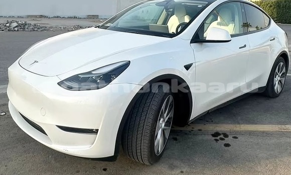 Buy Used Tesla Model X White Car in Dharavandhoo in Baa Buy Used Tesla Model X White Car in Dharavandhoo in Baa