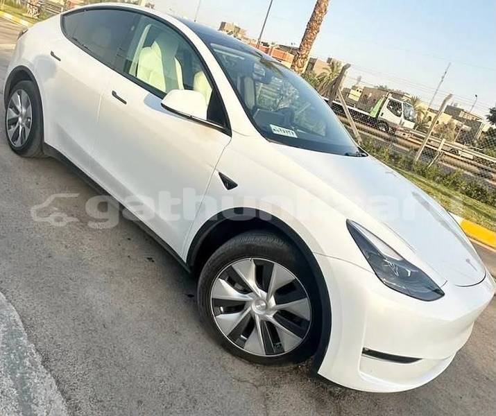 Big with watermark tesla model x baa dharavandhoo 4191