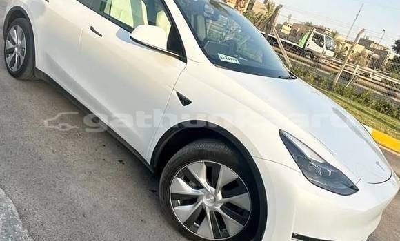 Buy Used Tesla Model X White Car in Dharavandhoo in Baa Buy Used Tesla Model X White Car in Dharavandhoo in Baa