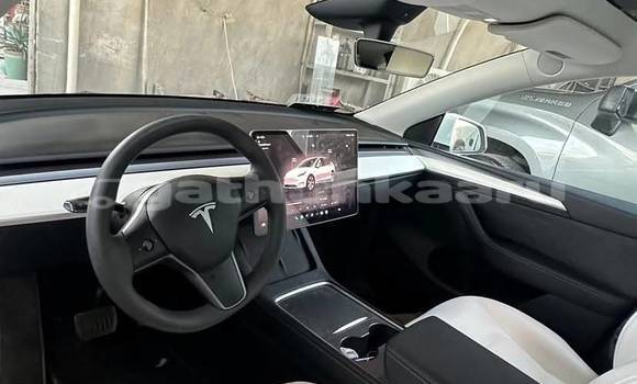 Buy Used Tesla Model X White Car in Dharavandhoo in Baa Buy Used Tesla Model X White Car in Dharavandhoo in Baa
