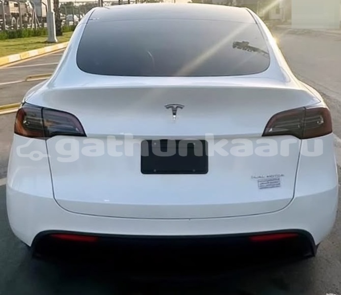 Big with watermark tesla model x baa dharavandhoo 4191