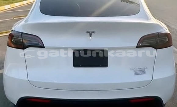 Buy Used Tesla Model X White Car in Dharavandhoo in Baa Buy Used Tesla Model X White Car in Dharavandhoo in Baa