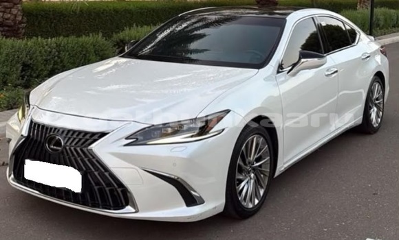 Buy Used Lexus ES White Car in Dharavandhoo in Baa