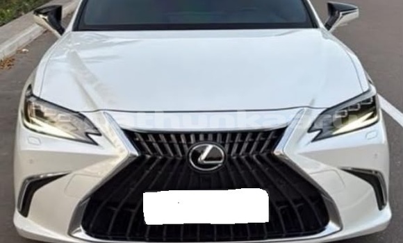 Buy Used Lexus ES White Car in Dharavandhoo in Baa Buy Used Lexus ES White Car in Dharavandhoo in Baa