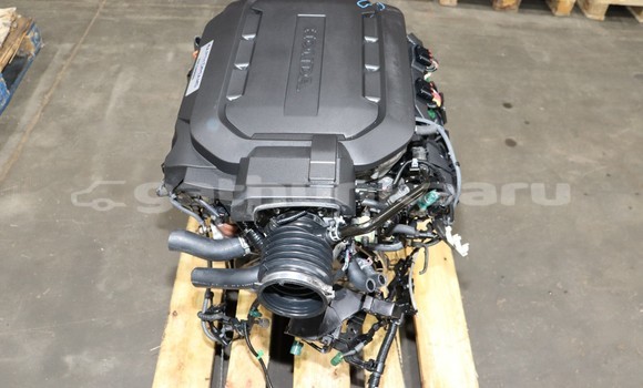 Buy Honda Accord V6 Engine in Bilehffahi in Shaviyani Buy Honda Accord V6 Engine in Bilehffahi in Shaviyani