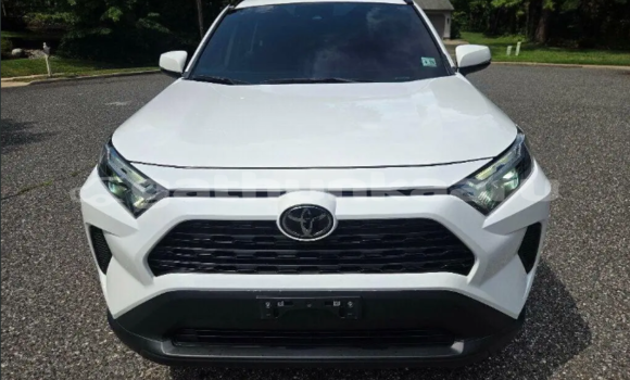 Buy Used Toyota RAV4 White Car in Bilehffahi in Shaviyani