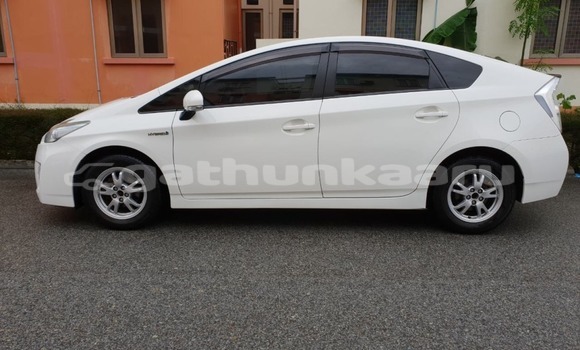 Buy Used Toyota Prius White Car in Hulhudheli in Dhaal