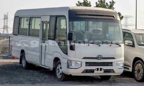Buy Import Toyota Coaster White Car in Import - Dubai in Baa Buy Import Toyota Coaster White Car in Import - Dubai in Baa