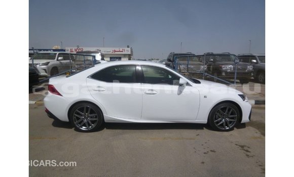 Buy Import Lexus IS White Car in Import - Dubai in Baa Buy Import Lexus IS White Car in Import - Dubai in Baa