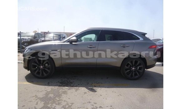 Buy Import Jaguar F-Pace Other Car in Import - Dubai in Baa Buy Import Jaguar F-Pace Other Car in Import - Dubai in Baa