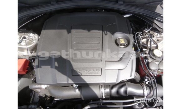 Buy Import Jaguar F-Pace Other Car in Import - Dubai in Baa Buy Import Jaguar F-Pace Other Car in Import - Dubai in Baa