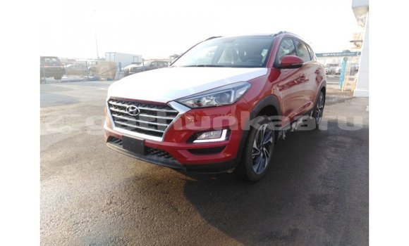 Buy Import Hyundai Tucson Red Car in Import - Dubai in Baa Buy Import Hyundai Tucson Red Car in Import - Dubai in Baa