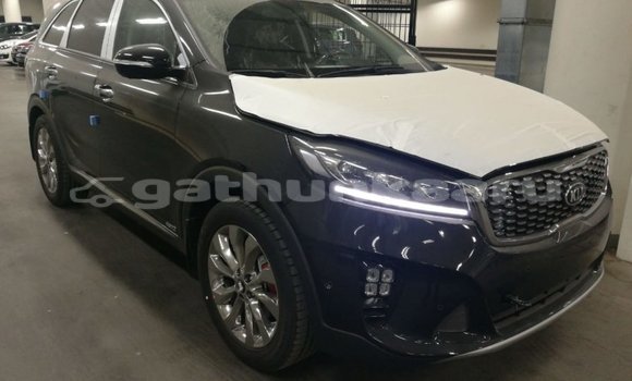 Buy Import Kia Sorento Brown Car in Import - Dubai in Baa