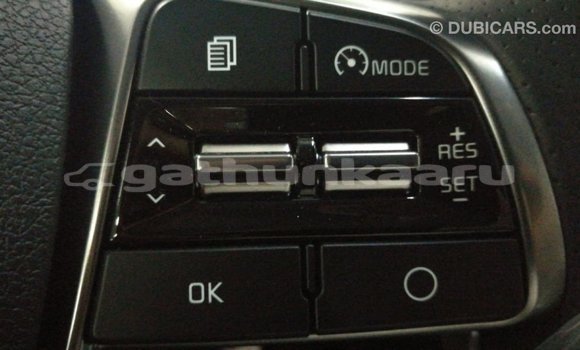 Buy Import Kia Sorento Brown Car in Import - Dubai in Baa Buy Import Kia Sorento Brown Car in Import - Dubai in Baa