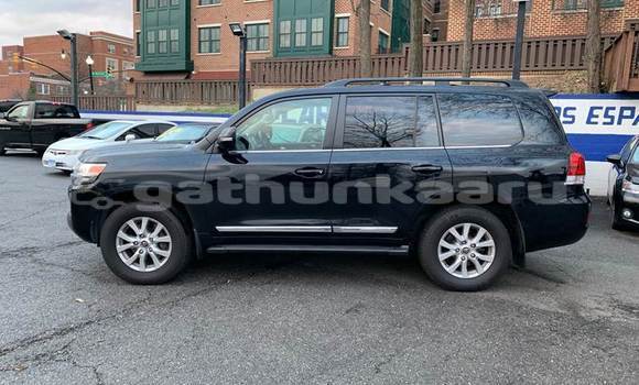 Buy Used Toyota Land Cruiser Black Car in Maafaru in Nuun
